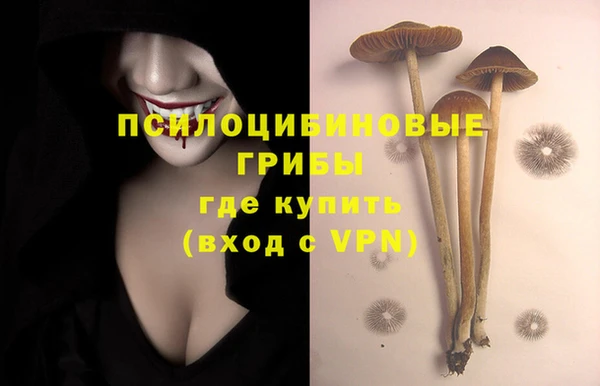таблы Мегион