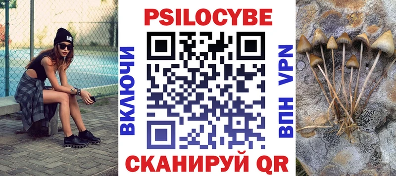Галлюциногенные грибы мицелий  Купить  Борзя 
